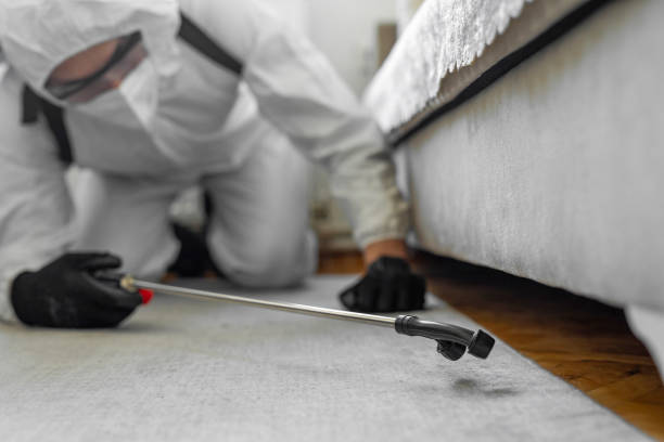 Professional Bed Bug Control technician working in Union City, PA
