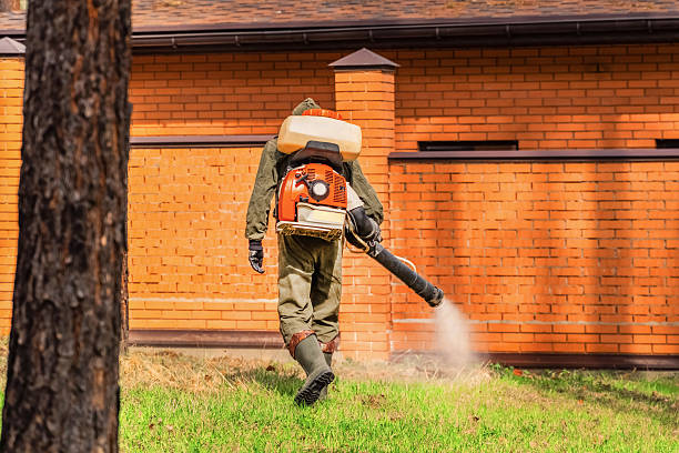 Trusted Rodent Control service in Union City, PA - Nex Pest Control